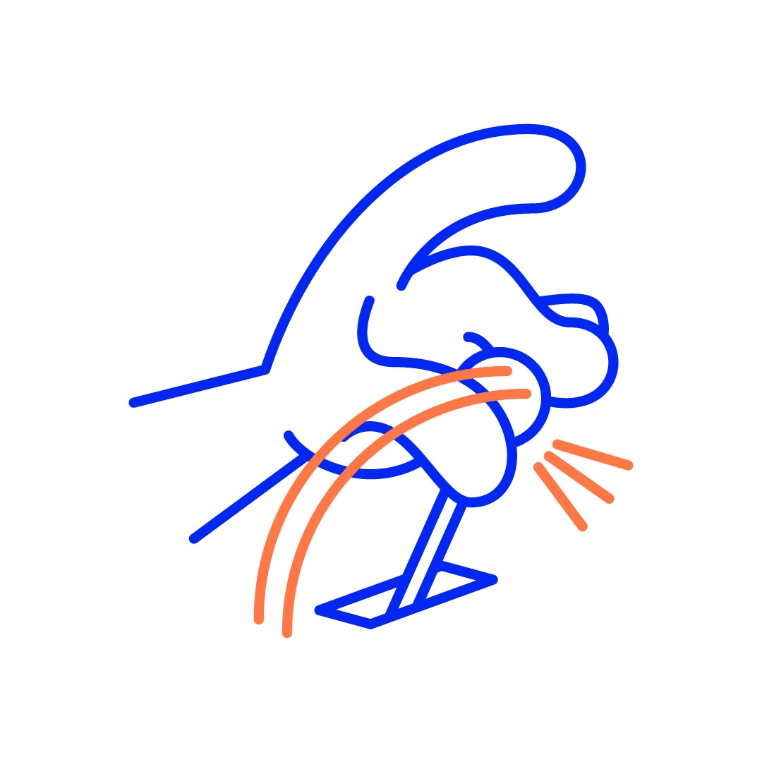 icon_2